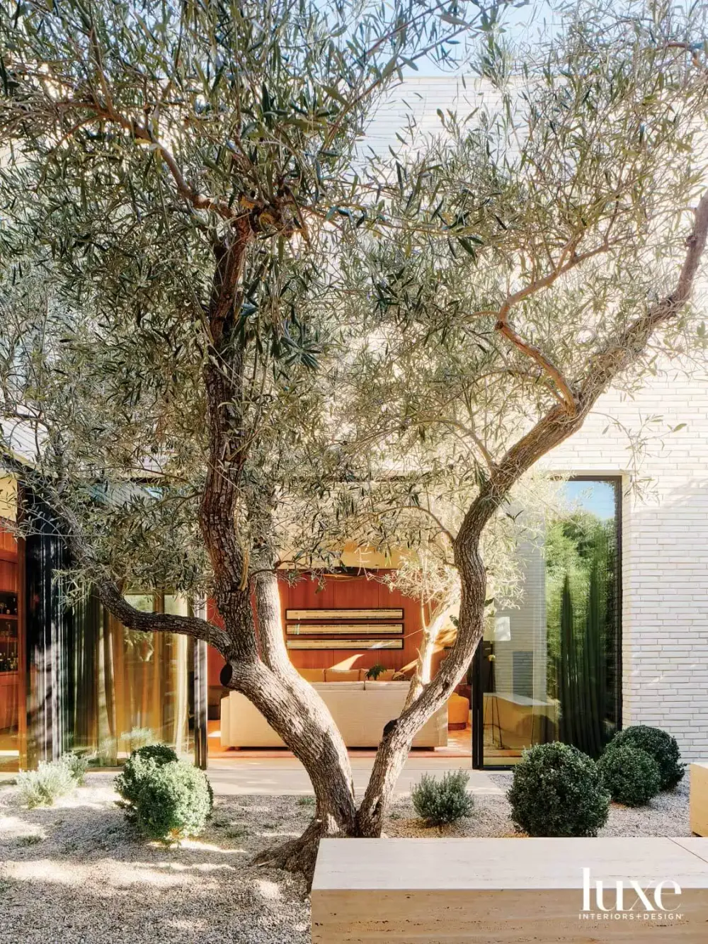 Inside A Santa Monica Gem That Embraces A Bit Of The Unexpected — LUXE: Interiors & Design